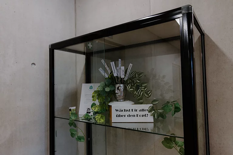Das Foto zeigt eine Vitrine, die von unserer Beratungslehrerin gestaltet wurde. Darin steht ein Blumentopf, der aussieht wie ein Kopf. Im Kopf stecken Zettel mit verschiedenen Problemen. Daneben steht ein Schild mit der Frage "Wächst dir alles über den Kopf?!